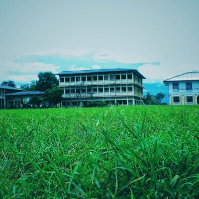 Our School